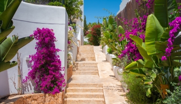 Resa estates Ibiza for sale modern villa martinet views exterior stairs.jpg